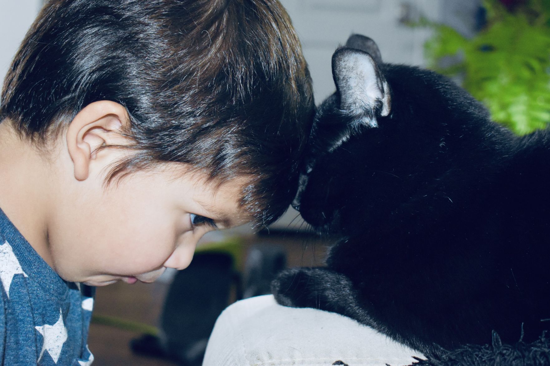 Cat selfies: Kissing Kitty